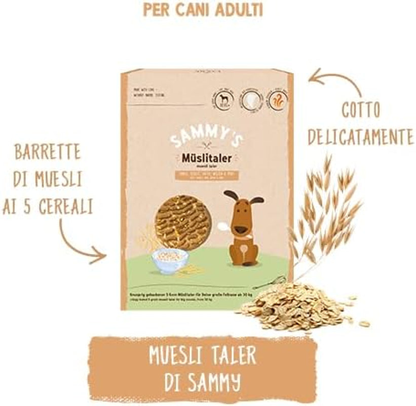 Sammy's Muesli-munten | Krokant gebakken snacks voor honden | 5 graanmueslimunten voor je grote harige vriend (30kg+) | 1 kg