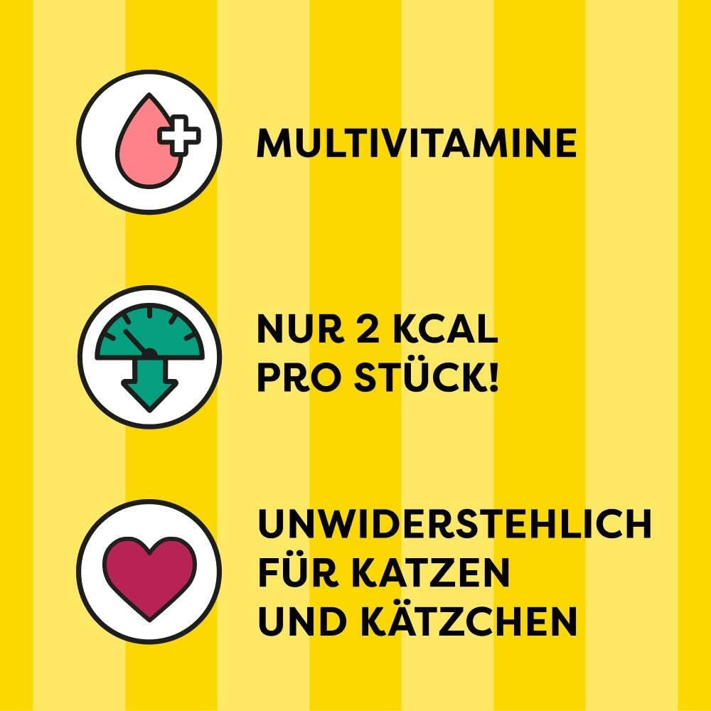DREAMIES SHAKE UPS Multivitamine Zeevruchtenfestival Kattensnoepjes in geportioneerde zakjes - 55 g (6 zakjes)