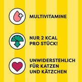 DREAMIES SHAKE UPS Multivitamine Zeevruchtenfestival Kattensnoepjes in geportioneerde zakjes - 55 g (6 zakjes)