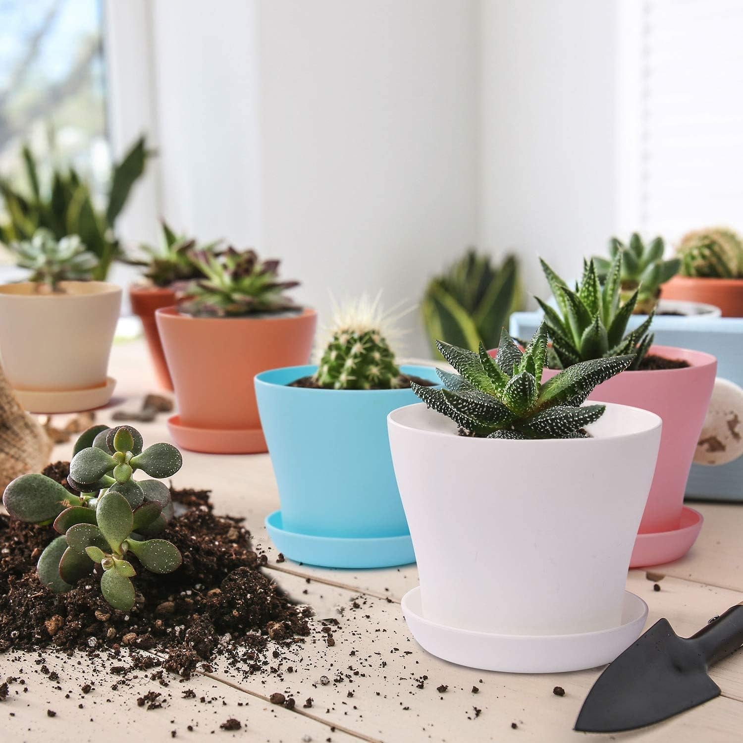 20 cm grote plastic bloempotten met schotels, witte zelfwatergevende bloempotten met schotels, plastic zaailingpotten, verdikte potten voor binnen- en buitenbeplanting (6 stuks)