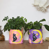 GUGUGO Leuke maankat bloempotten, unieke bloempot met drainage, regenboogkleuren, kleine kamerplantpotten, leuke succulente tuinpotten, cadeau, huisdecoratie (C)