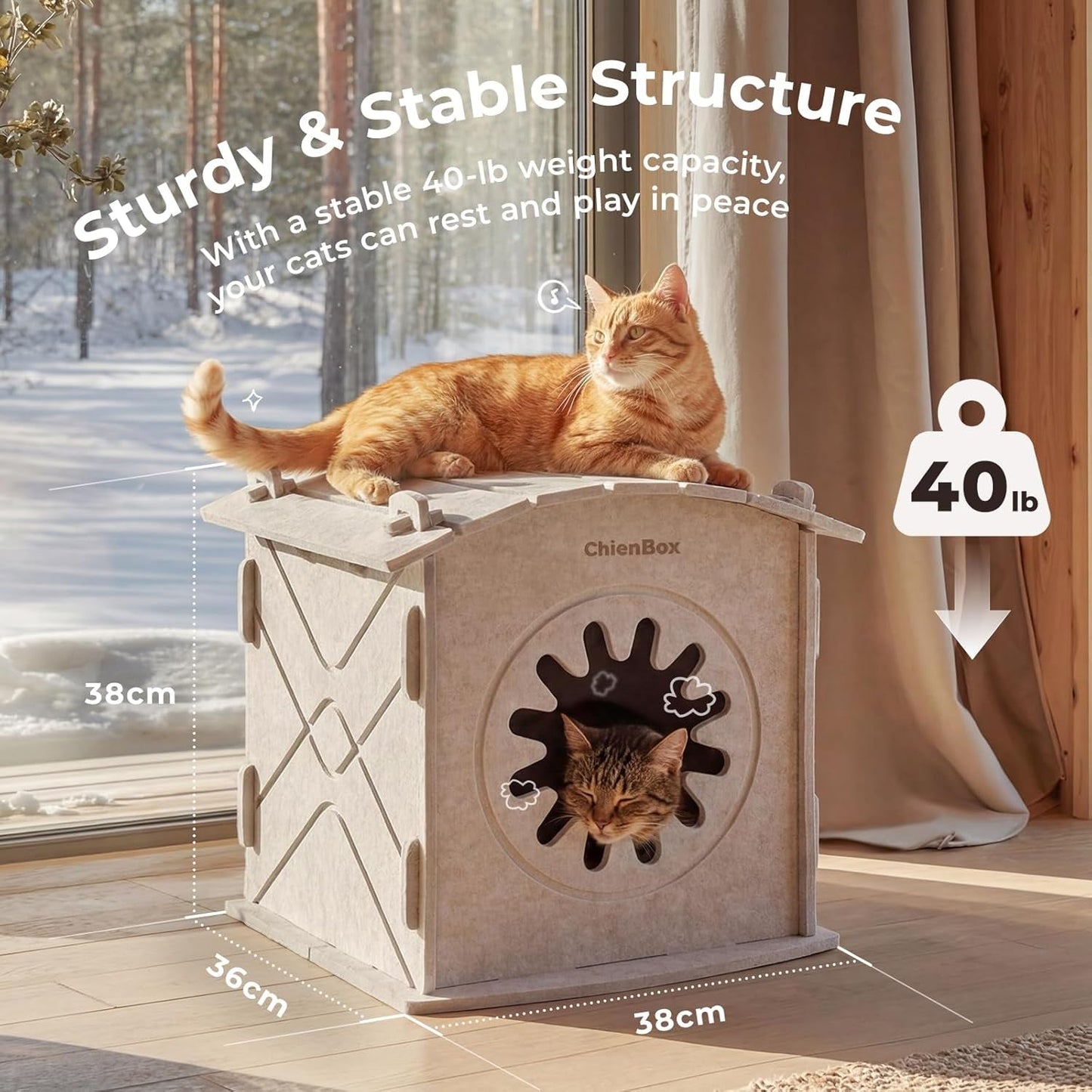 Katzenhaus Indoor aus Filz: Warmes en Gemütliches Katzenbett, Katzenhöhle mit beruhigedem Kratzbogen, Robuste & Kratzfeste Katze Höhle, Abnehmbares Katzen Bett, Katzen Haus 38 x 36 x 38cm