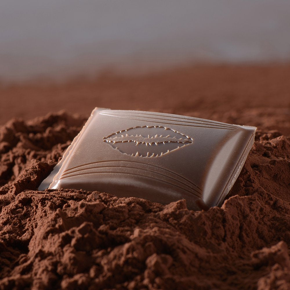 HALLO Chocolade met gezouten karamel | Reep 100g | Melkchocolade met gezouten karamelvulling | Chocoladereep | Chocoladecadeau (pak van 5)