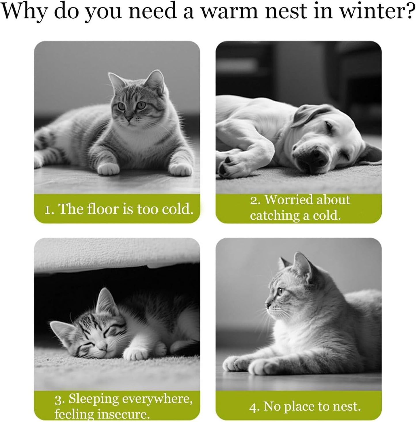 Dekens en meubels, Huisdieren, Grotten & Huizen, Katten, Kattenbedden, Katten - bedden, matrassen
