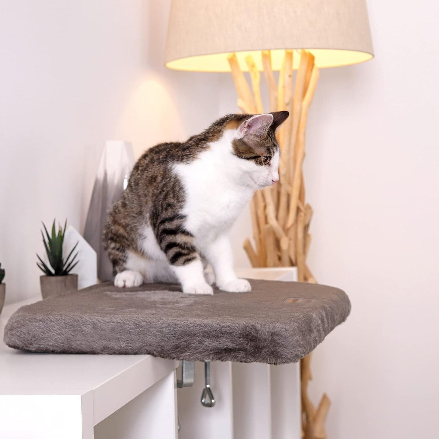 Dekens en meubelen, Raamstoelen, Huisdieren, Katten, Kattenbedden, Katten - bedden, matrassen