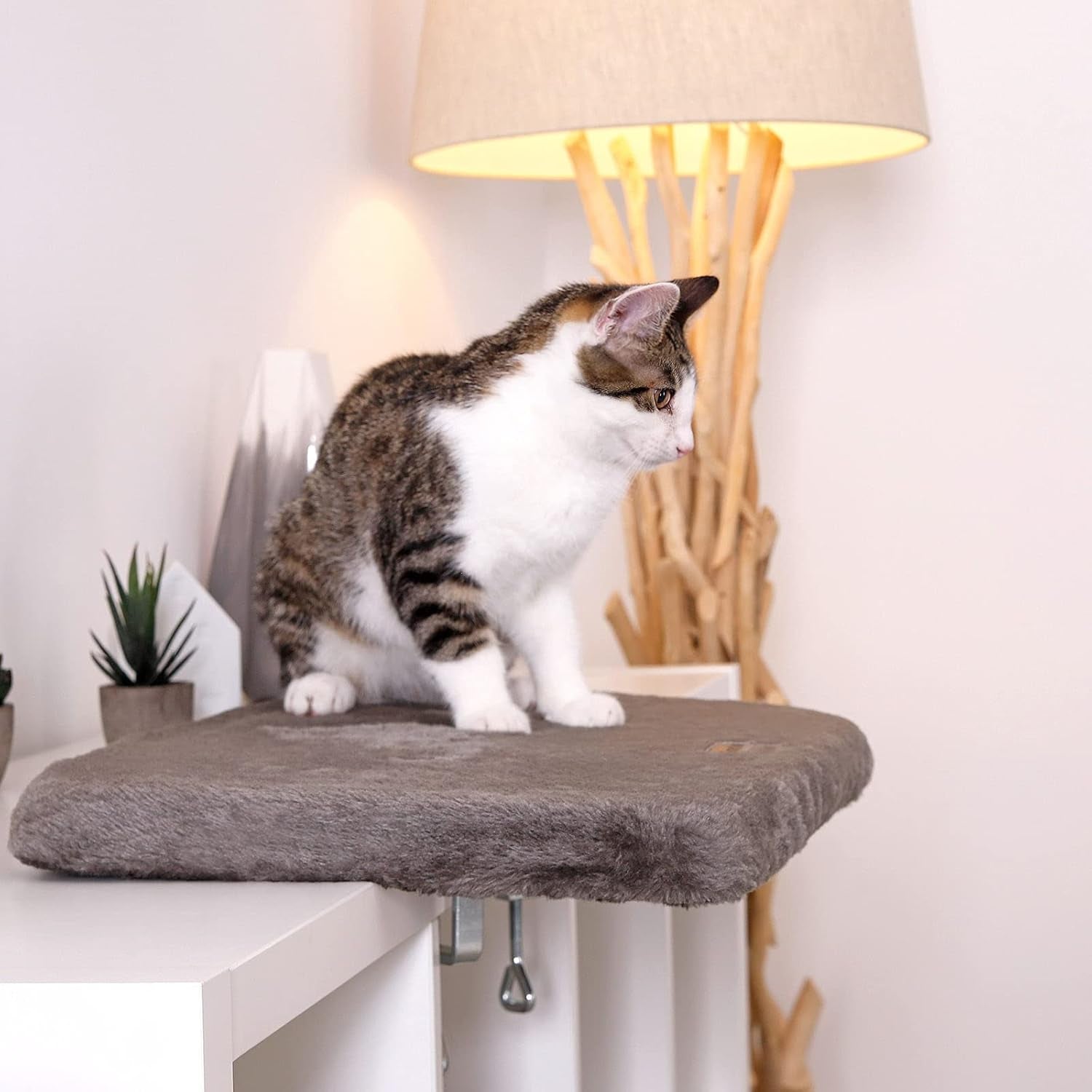 Dekens en meubelen, Raamstoelen, Huisdieren, Katten, Kattenbedden, Katten - bedden, matrassen