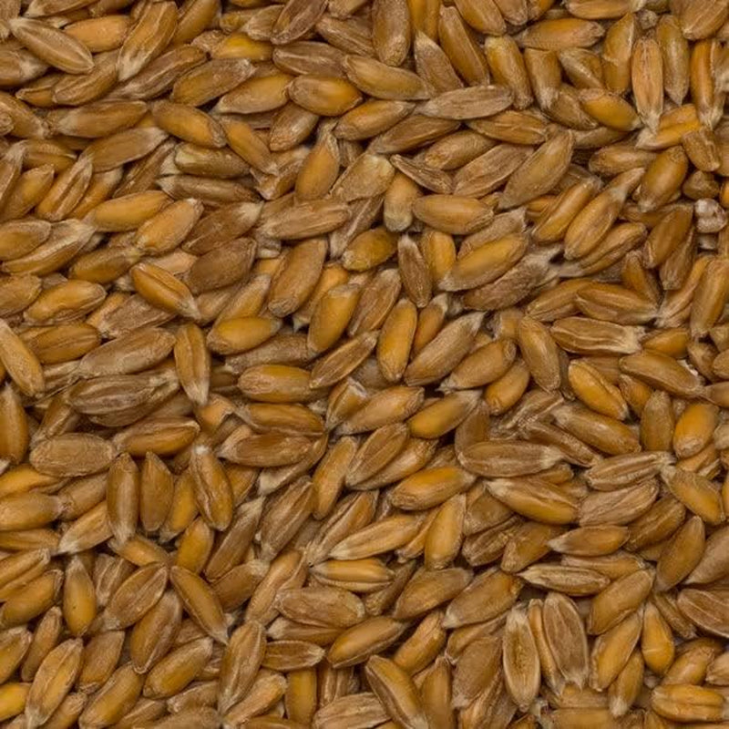 Wholefood Earth Biologische Speltgranen – 3 kg | Niet-GMO | Veganistisch | Rijk aan vezels | Gecertificeerd biologisch