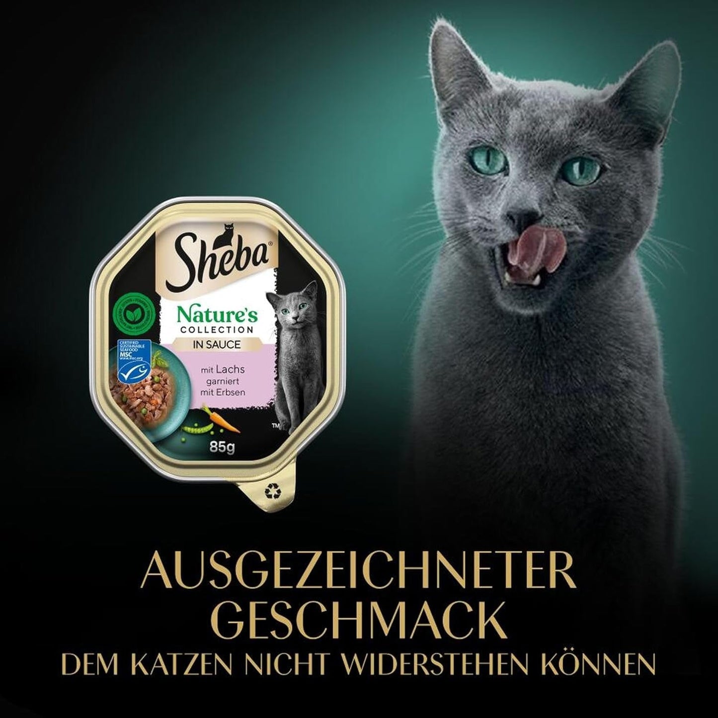 SHEBA Natvoer voor katten, Nature's Collection in zalmsaus, 2 x 11 x 85 g
