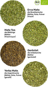 Mate thee proefset ● 4 soorten biologische Mate thee ● 100 g elk Erva Mate + Yerba Mate + Groene Mate thee + Geroosterde Mate thee