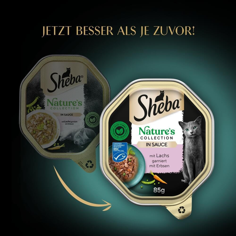 SHEBA Natvoer voor katten, Nature's Collection in zalmsaus, 2 x 11 x 85 g