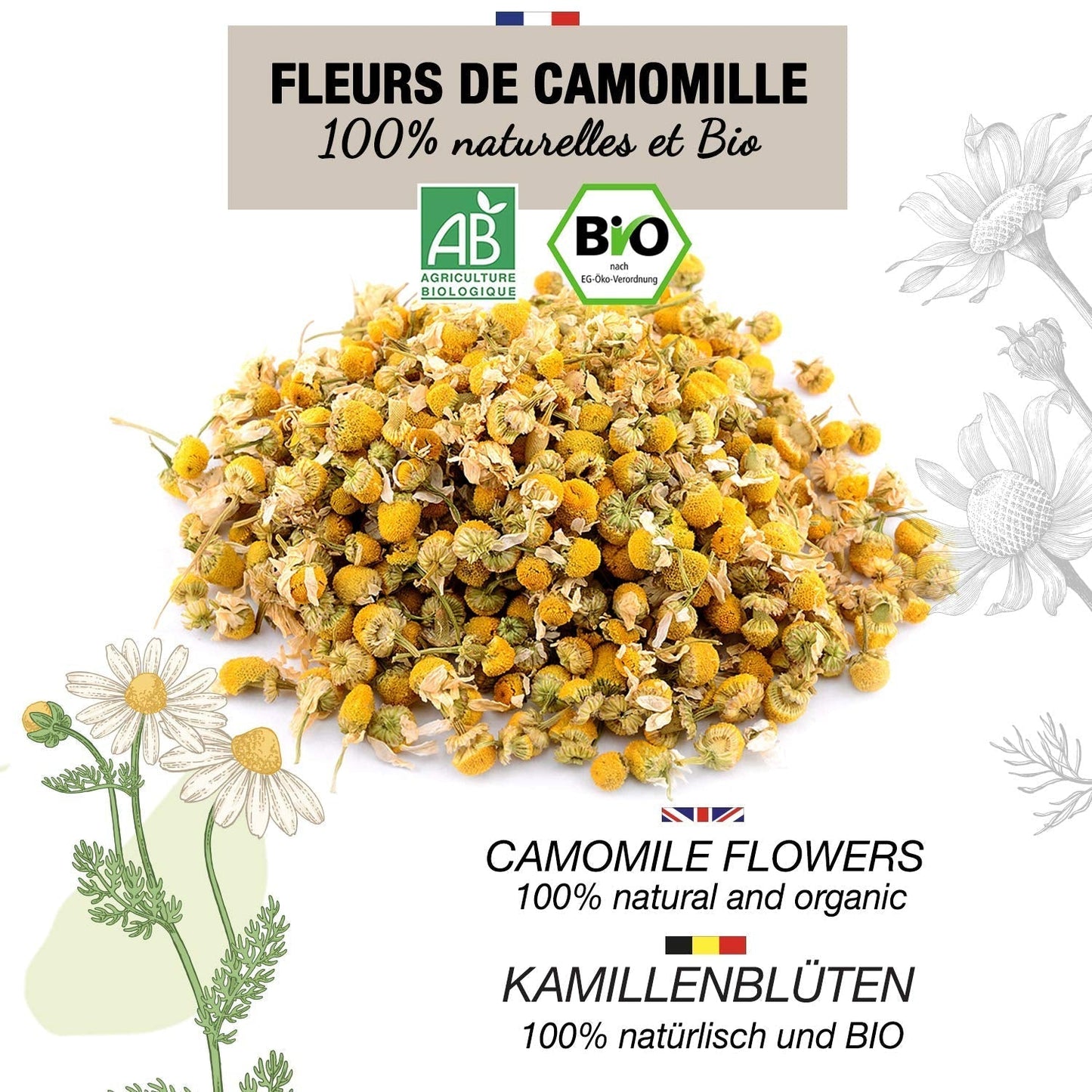 ORIGEENS Biologische Kamillebloementhee uit Europa, 100 g | Losbladige thee, biologische thee voor slaap en spijsvertering | Duitse Kamille | Gecertificeerd en verpakt in Duitsland