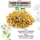 ORIGEENS Biologische Kamillebloementhee uit Europa, 100 g | Losbladige thee, biologische thee voor slaap en spijsvertering | Duitse Kamille | Gecertificeerd en verpakt in Duitsland