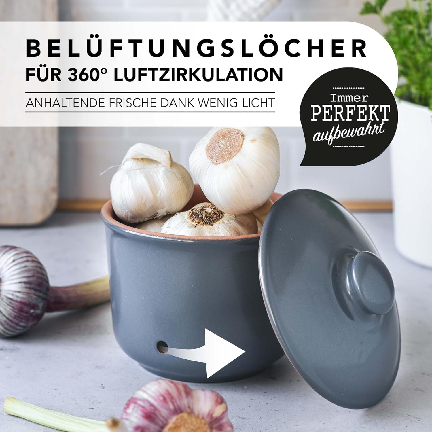 Römertopf knoflookpot verse pot van natuurlijke klei voor een lange houdbaarheid van voedsel zoals knoflook Ø 12,5 cm wit Voedselbewaardozen Naty Shop