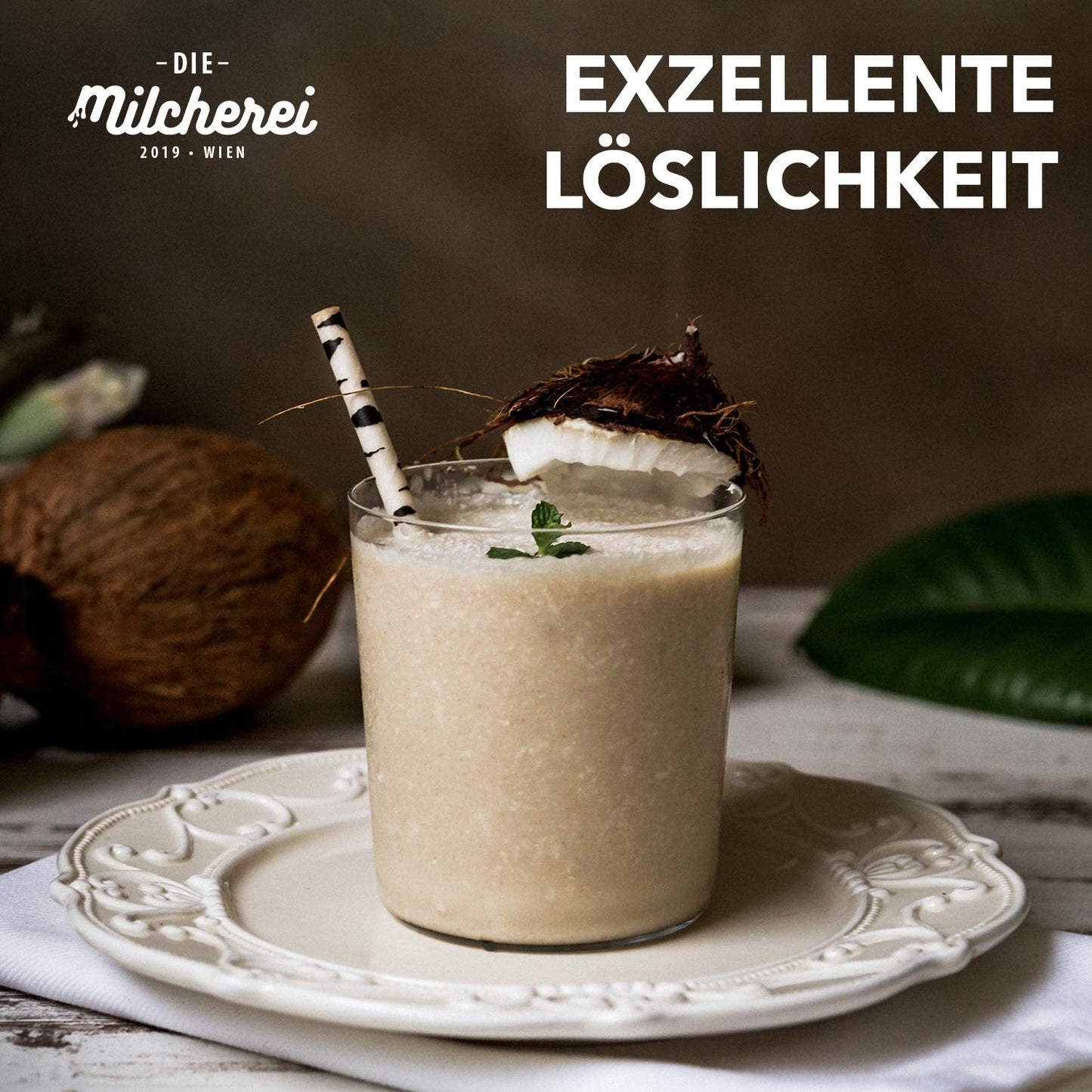 Kokos-Nuss-Milch-Pulver MILCHEREI Kokosshake Curry Thai 800g