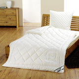 F.A.N. Frankenstolz dekbed, katoen, naturel, 135 Cm X 200 Cm Quilts en quilts Naty Shop