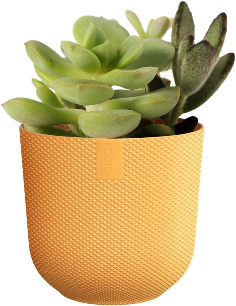 elho Jazz Round Mini 7cm - Bloempotten voor Binnen - 100% gerecycled plastic - Ø 7 x H 6,5 cm - Geel/Amber