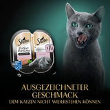 SHEBA Perfect PORTIONS paté voor katten met zalm, MSC gecertificeerd, 8 x 3 x (2 x 37,5 g) = 225 g (verpakking wordt bijgewerkt)
