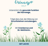almo nature Functional Urinary Help - Natvoer voor volwassen katten met zalm - Ondersteunt de gezondheid van de urinewegen - 30 zakjes à 70 g
