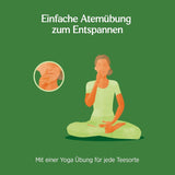 Yogi Tea - Tulsi Serenity Biologische Kruiden Ayurvedische Thee Natuurlijk Cafeïnevrije Tulsi Blend "Heilige" Basilicum Zoethout & Oranje Yogi Thee 3 Pack 3X17 Theezakjes (51 Theezakjes)