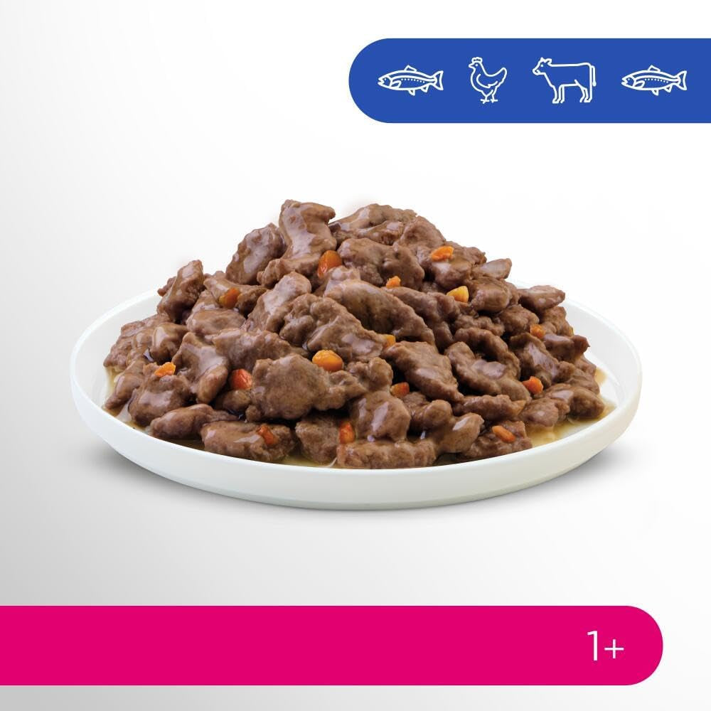 Perfect Fit Adult 1+ selectie natvoer met zalm, diepzeevis, rundvlees en kip, 48 zakjes, 12x85g (4 stuks) - Premium natvoer voor volwassen katten vanaf 1 jaar