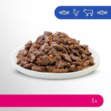 Perfect Fit Adult 1+ selectie natvoer met zalm, diepzeevis, rundvlees en kip, 48 zakjes, 12x85g (4 stuks) - Premium natvoer voor volwassen katten vanaf 1 jaar