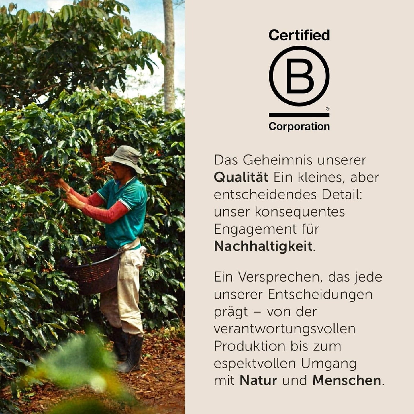 illy, Kaffeebohnen Arabica Selection Costa Rica, 100% Arabica met Karamel-, Schokoladen- en Vanillenoten, süßer Gesmack, 1 Dosis met 250g