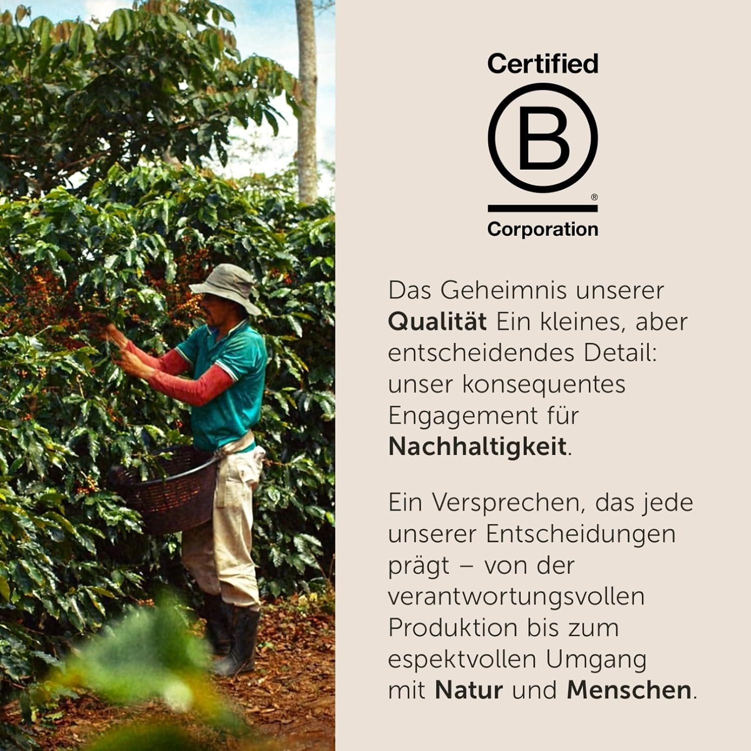 illy, Kaffeebohnen Arabica Selection Costa Rica, 100% Arabica met Karamel-, Schokoladen- en Vanillenoten, süßer Gesmack, 1 Dosis met 250g