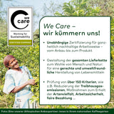 Lebensbaum Darjeeling groene thee met hele bladeren, biologische thee, groene thee met frisse bloemensmaak, lichtgroene kleur, 1000 g
