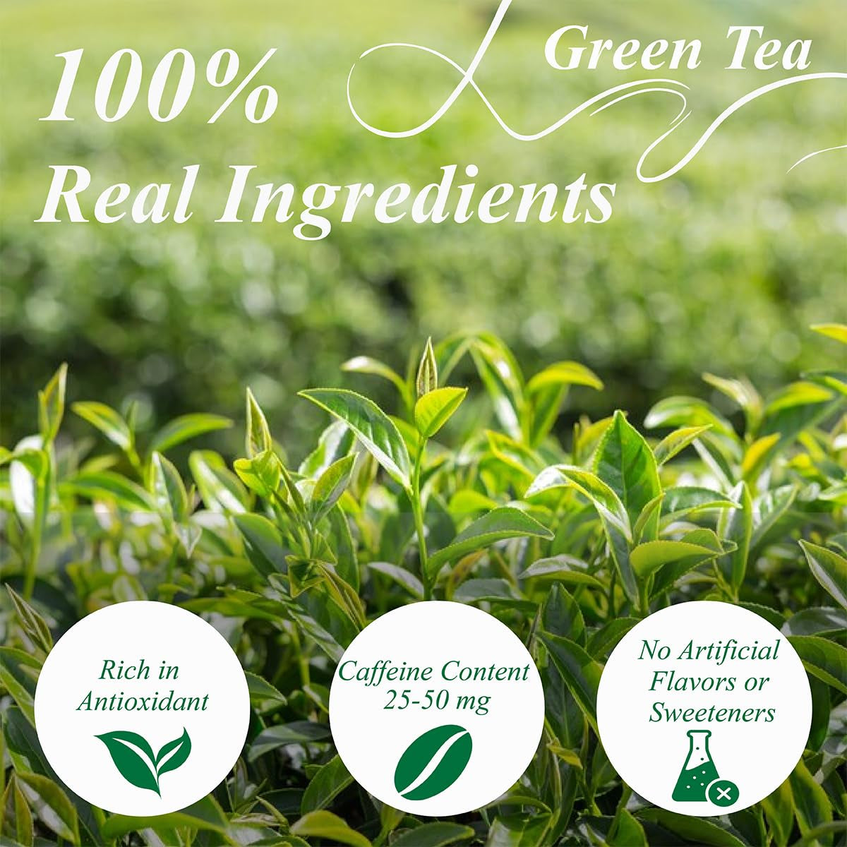 WEETEE Groene Theezakjes, 100 Stuks Groene Theezakjes, Pure Groene Thee, Super Antioxidant | Hersluitbare zakjes | Warme of koude bereiding