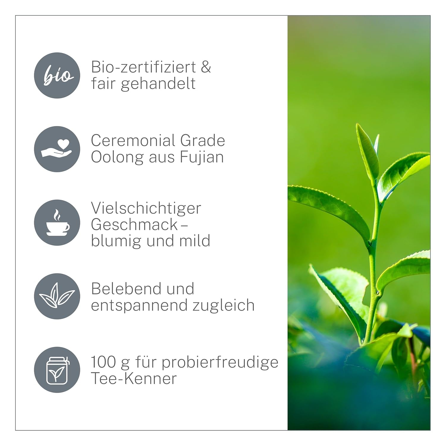 Ti Guan Yin Bio Oolong Thee 100g - Hoge kwaliteit biologische Oolong thee uit China - Wu Long (ceremoniële kwaliteit) - voor theeliefhebbers en kenners - Mycupoftea