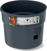 Prosperplast tomatenzaailingenpotten met traliewerk – Stevige kunststof plantenbak | Antraciet | Weer- en UV-bestendig | 29,5 x 115,2cm | Ideaal voor de tuin en terras