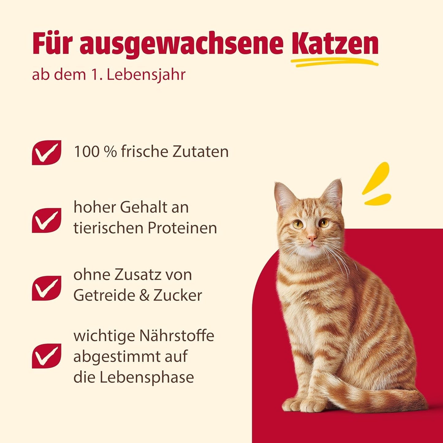 Animonda Carny kattennatvoer kalkoen + kip + garnalen (6 x 800 g), graanvrij, suikervrij natvoer met verse vleesingrediënten