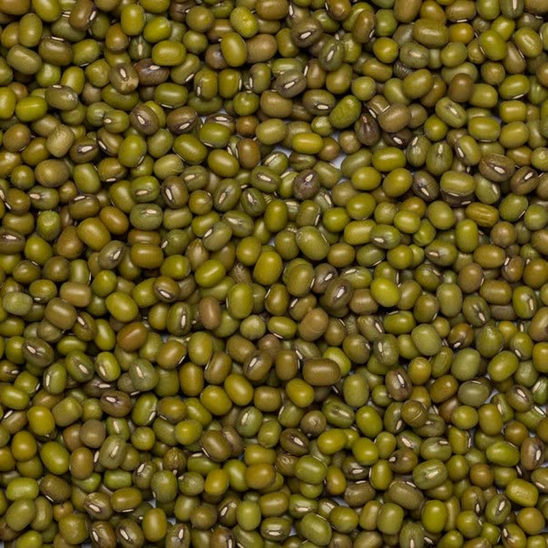 Wholefood Earth Organic Mung Beans 2kg | Niet-GMO | Veganistisch | Rijk aan vezels | Rijk aan eiwitten | Gecertificeerd biologisch