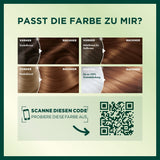 Garnier Nutrisse Permanente Verzorging Haarkleuring met Voedende Fruitoliën 8 Week Hold Kleur Ultra Crème Tint 053 Fluweelbruin (Pack van 3) Naty Shop Haarkleuring