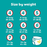 Pampers Baby-Dry luiers, maat 8, 22 stuks, 19 kg+