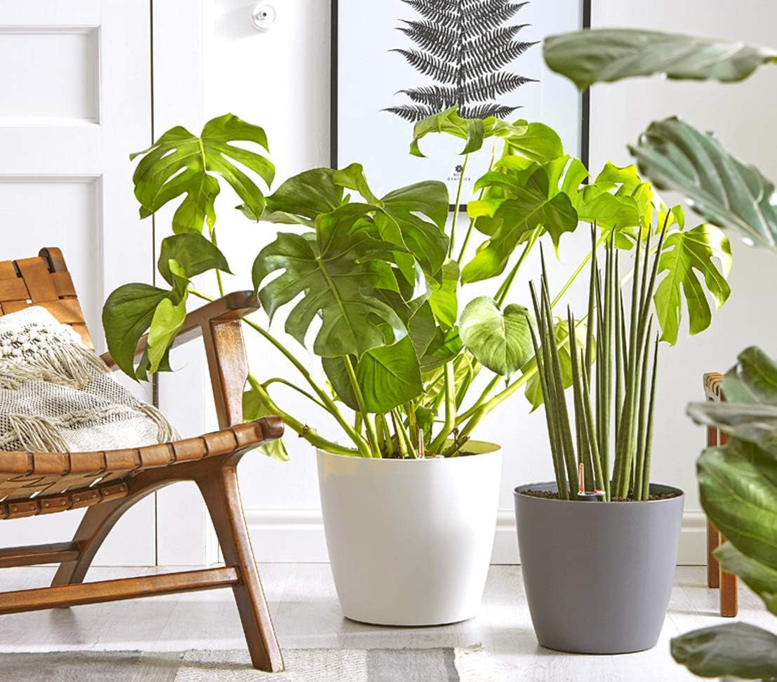 Dehner Mila bloempot met zelfwatergeefsysteem, Ø 30 cm, hoogte 26 cm, kunststof, wit