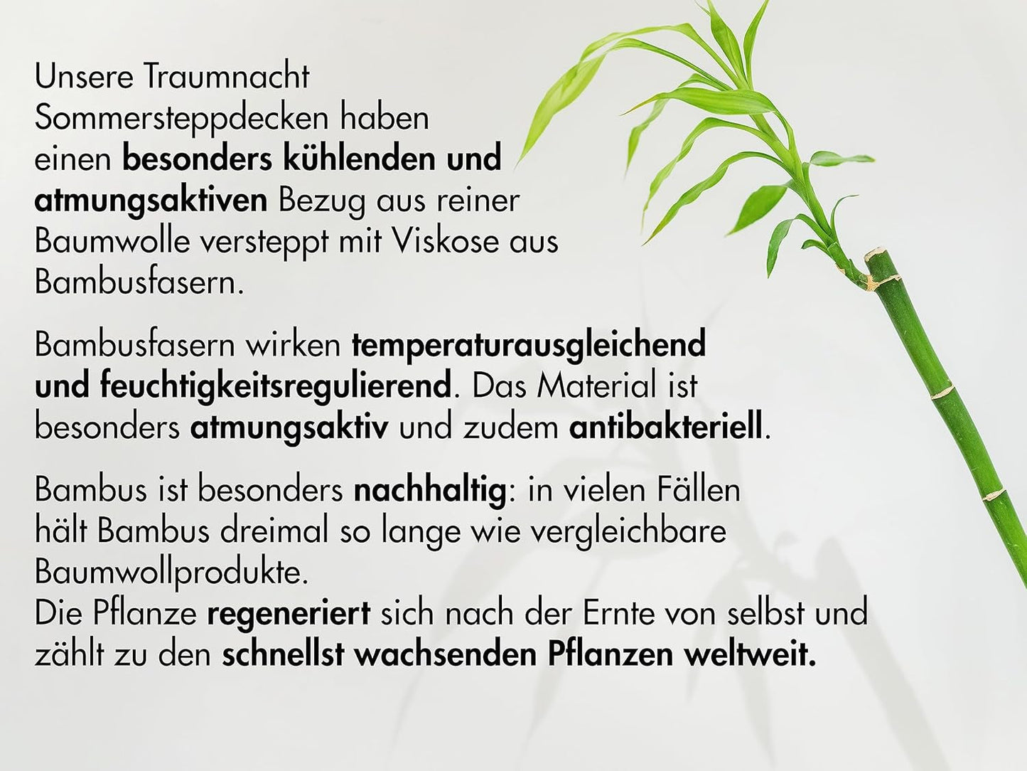 Traumnacht Bamboekussen met bamboevezels, hypoallergeen, antibacterieel Kussenset met ritssluiting, bestaande uit 2 kussens 40X80Cm, Oeko-Tex gecertificeerd, ontwikkeld in Duitsland Naty Shop standaard kussens