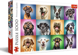 Legpuzzel - "1000" - Grappige hondenportretten Puzzel Naty Shop Grappige hondenportretten
