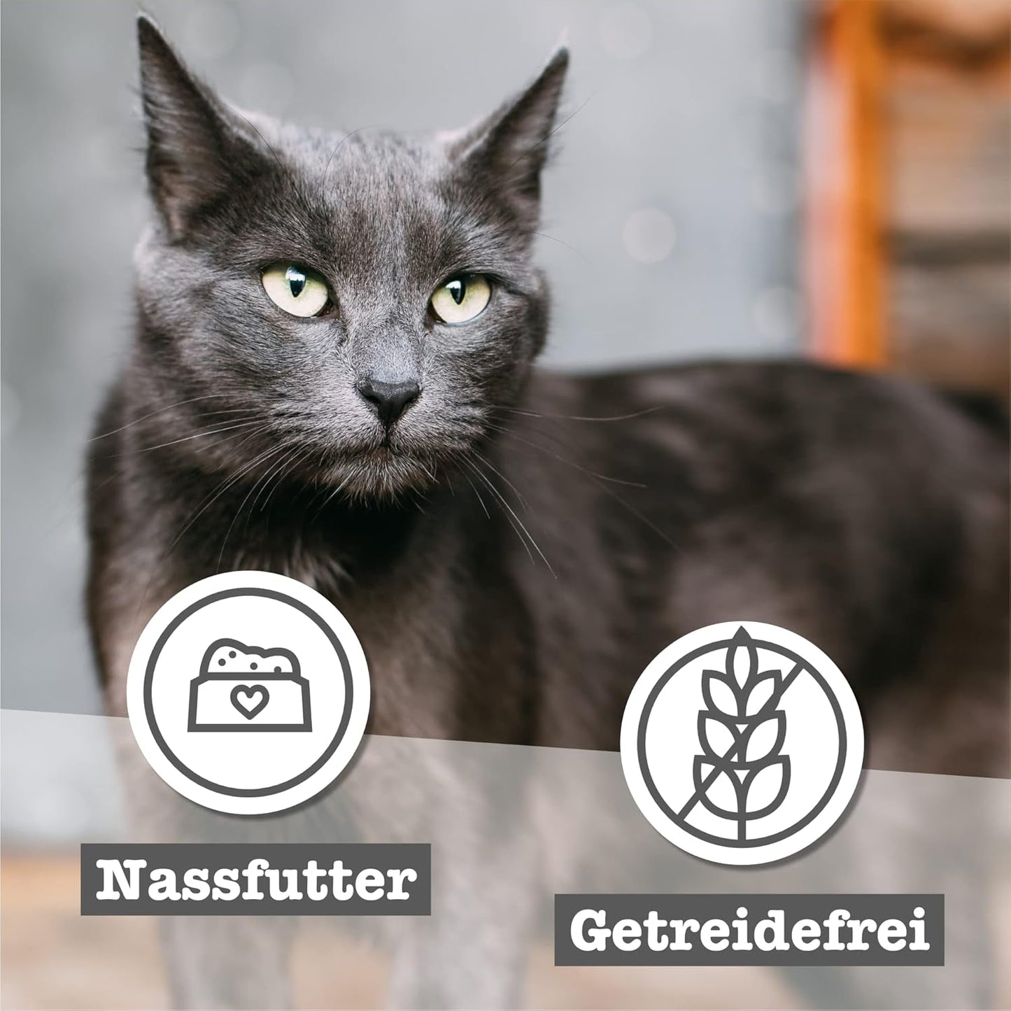 catz finefood Senior Collection Katzenfutter nass - Premium Nassfutter für Ihre Senior Katze - getreidefrei, ohne Zucker, hoher Fleischanteil, Vitamine & Mineralien (6 x 200g dosis)