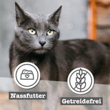 catz finefood Senior Collection Katzenfutter nass - Premium Nassfutter für Ihre Senior Katze - getreidefrei, ohne Zucker, hoher Fleischanteil, Vitamine & Mineralien (6 x 200g dosis)