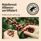 by Amazon Lungo Kaffee-Kunststoffkapseln, Nespresso-compatibel, 20 Stück, Packung mit 1 – Rainforest Alliance-zertifiziert