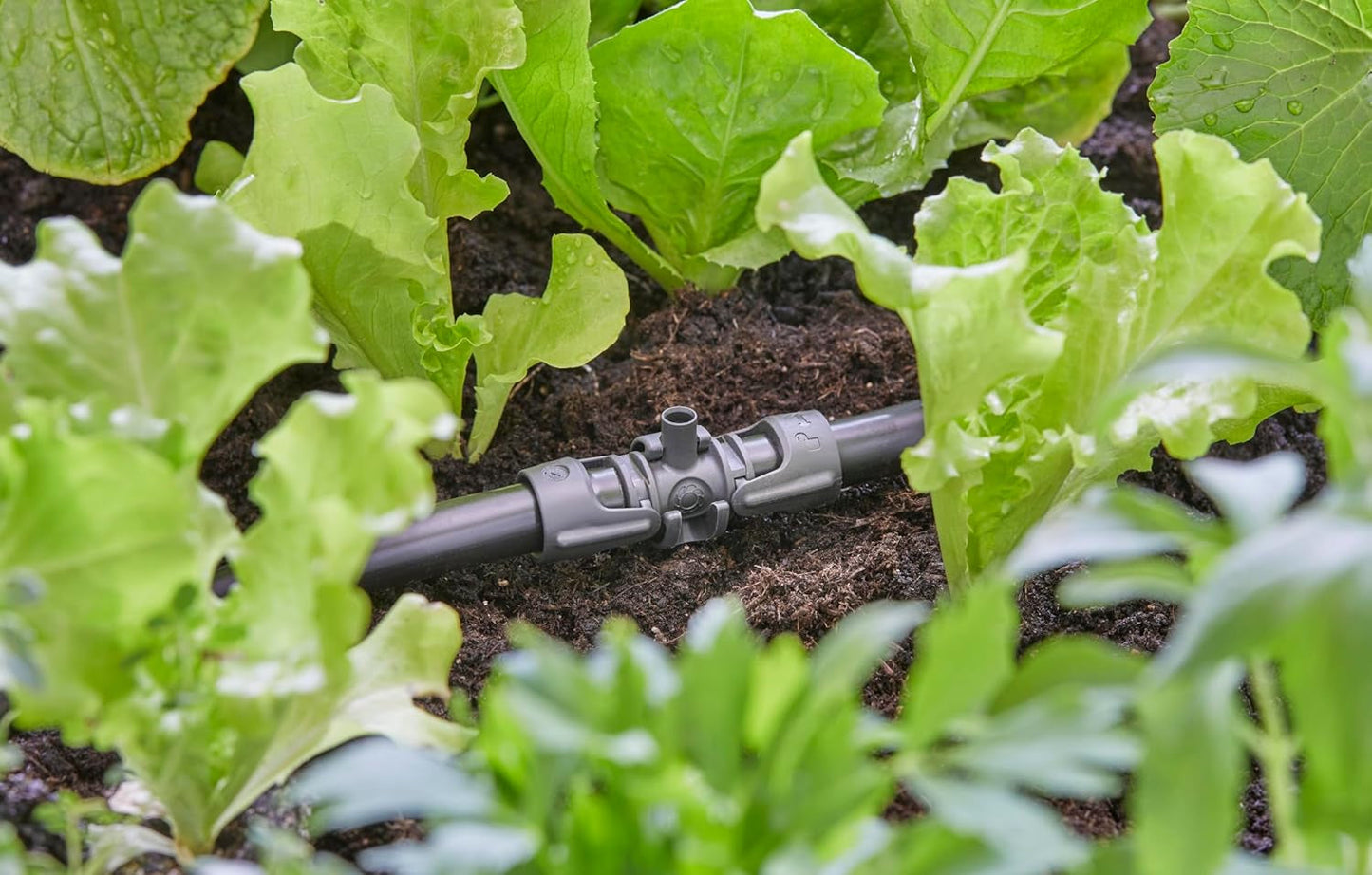 Gardena Micro-Drip-System T-stuk voor sproeikoppen: verbinding tussen 13 mm buizen en een sproeikop, automatische plantenbewatering, snelle en eenvoudige aansluittechniek, herbruikbaar (13206-20)