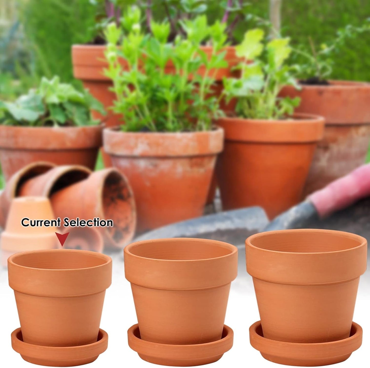 Hollyone 8-delige kleine terracotta plantenbakkenset, 8x8cm ronde kleipotten met plaat en afvoergat, kleine plantenbakken met lade, terracotta succulente potten voor kamerplanten, keramische plantenbakken