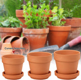 Hollyone 8-delige kleine terracotta plantenbakkenset, 8x8cm ronde kleipotten met plaat en afvoergat, kleine plantenbakken met lade, terracotta succulente potten voor kamerplanten, keramische plantenbakken
