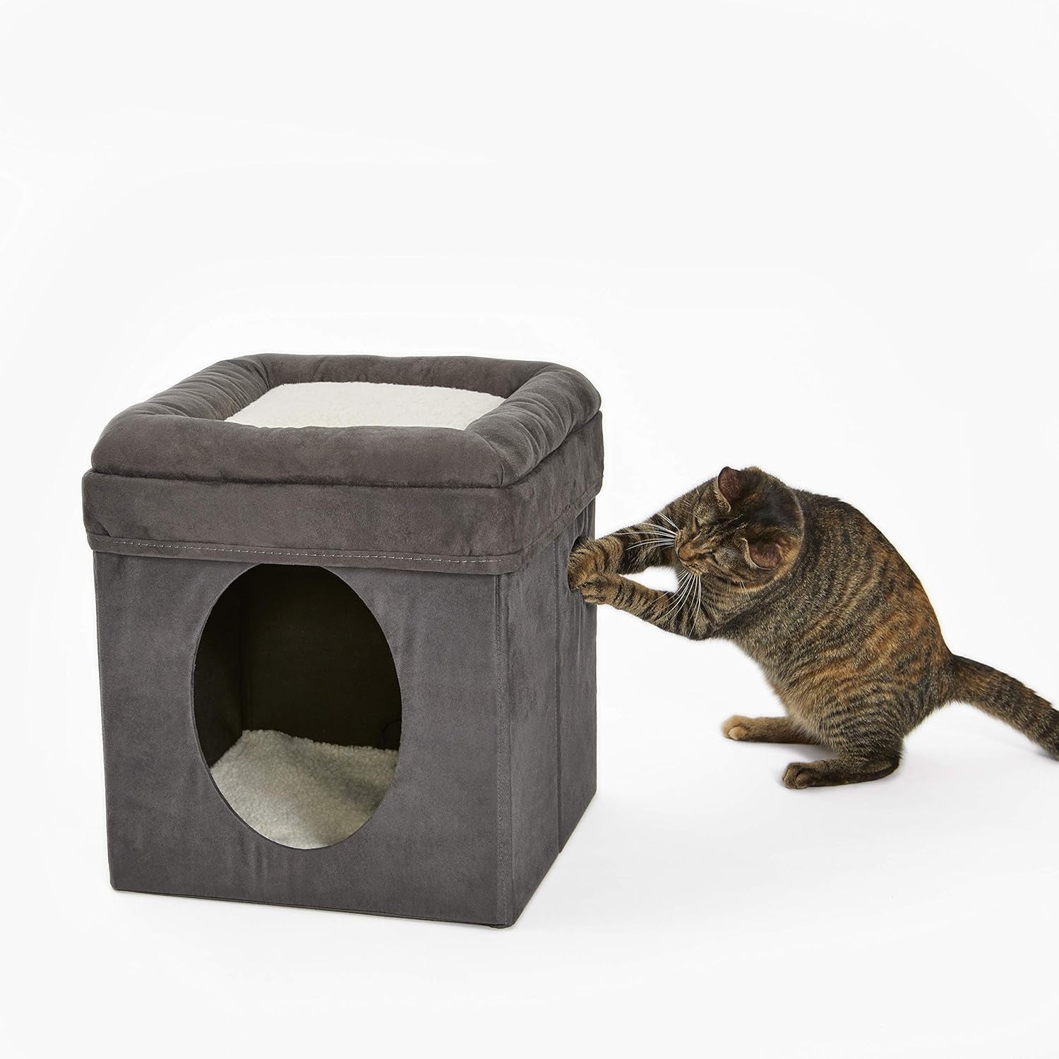Bedden en banken, dekens en meubels, huisdieren, katten, kattenbedden, katten - bedden, matrassen