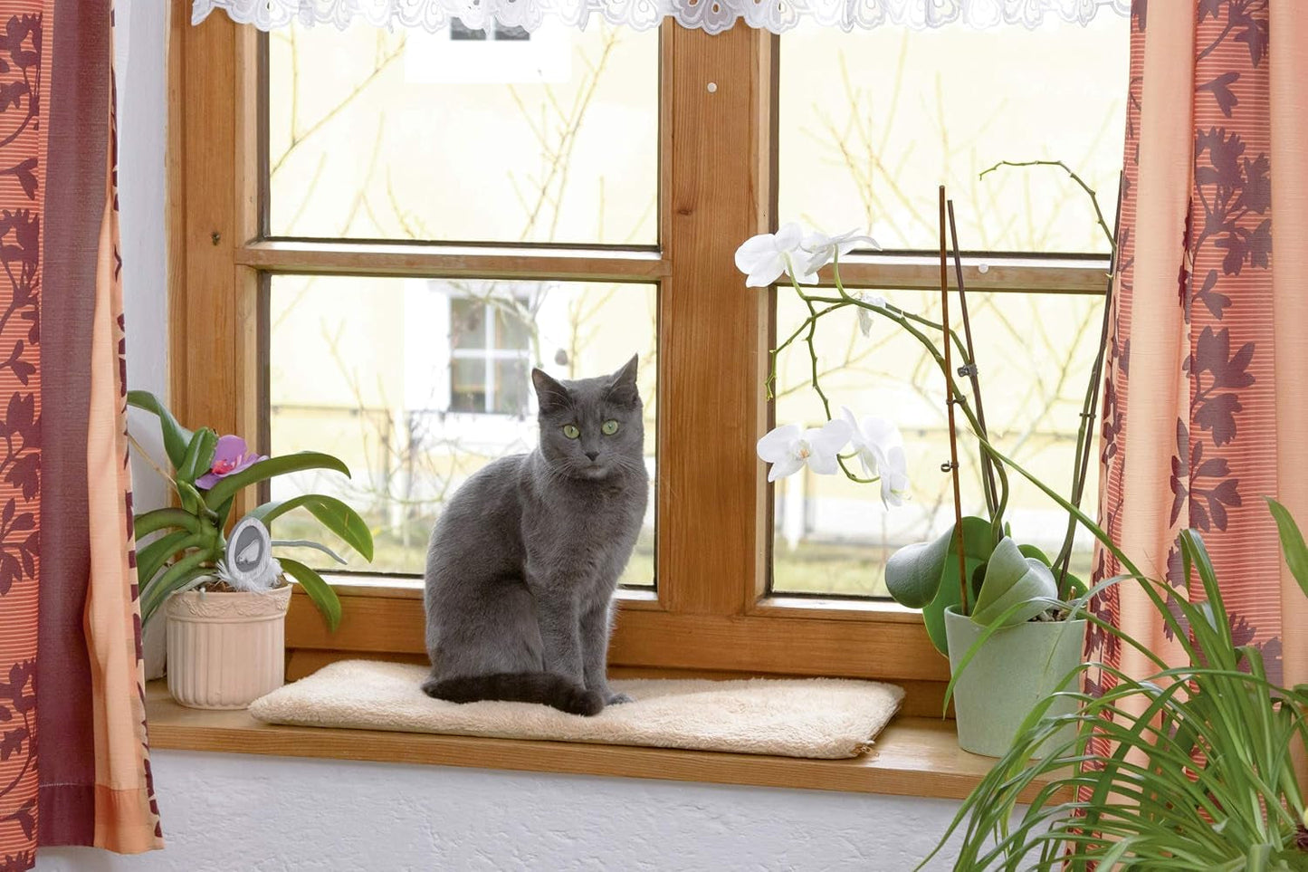 Dekens en Meubels, Huisdieren, Katten, Kattenbedden, Krabmatten, Katten - bedden, matrassen