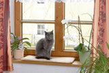 Dekens en Meubels, Huisdieren, Katten, Kattenbedden, Krabmatten, Katten - bedden, matrassen