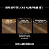 Garnier Olia Hair Colour 6.0 Lichtbruin + True Treasures Repair Treatment (340ml) voor beschadigd haar - kleuren zonder ammoniak, natuurlijke oliën, grijs haar bedekken, honing en bijenwas, minder breuk Haarverf Naty Shop