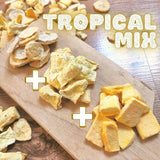 Gevriesdroogd fruit Mix van tropisch fruit | XL 350g Gevriesdroogde Ananas Mango Banaan Mix van gevriesdroogd fruit | Gevriesdroogd fruit Ananas Banaan Mango Gedroogd fruitmix | ZingyZoo Gedroogde producten Naty Shop