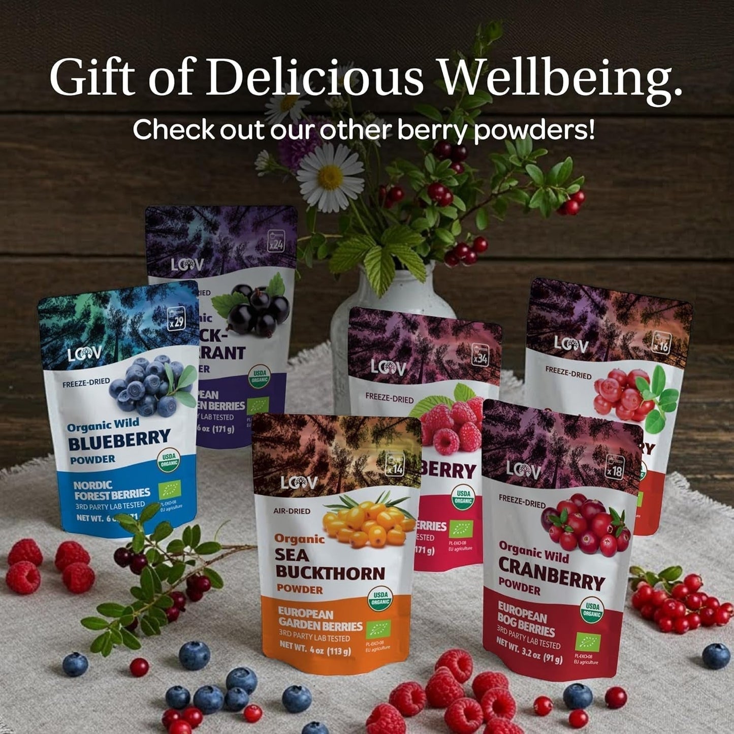 LOOV Biologisch wilde bosbessenpoeder - 29 dagen voorraad 171 g Goed voor smoothies en ontbijt Gevriesdroogd Noord-Europa Geen toegevoegde suiker Naty Shop Gedehydrateerde producten